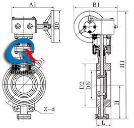 手動(dòng)對夾蝶閥 (蝸輪傳動(dòng))